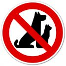 animaux interdits