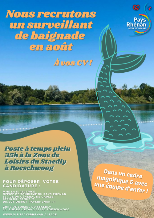 Affiche cherche surveillant
